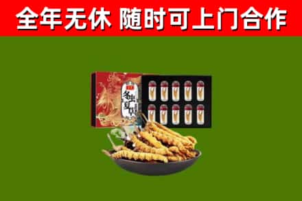 果洛回收冬虫夏草价格